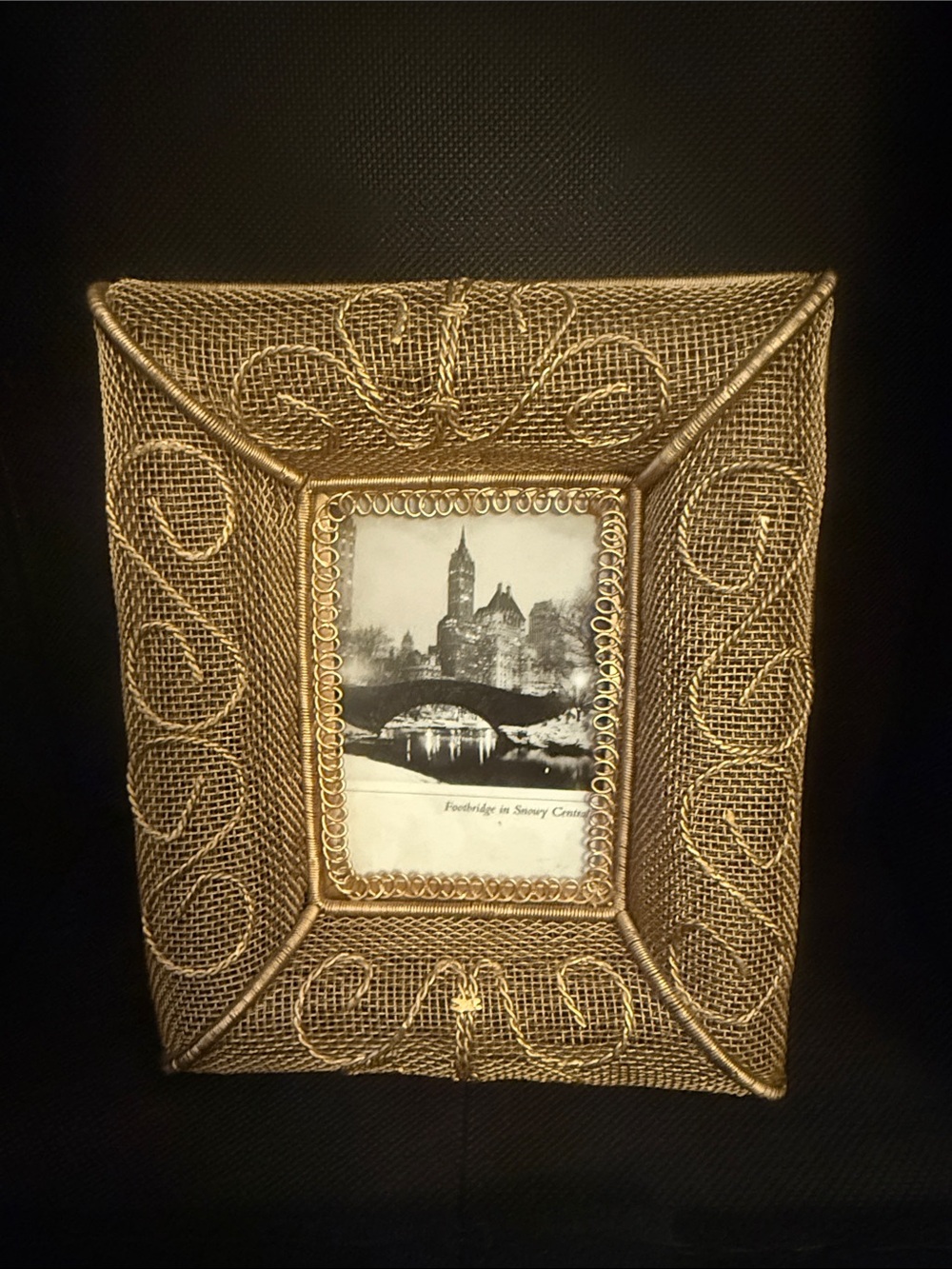 Pier 1 Puffed Mesh Gold Decorative Photo Frame -OSP